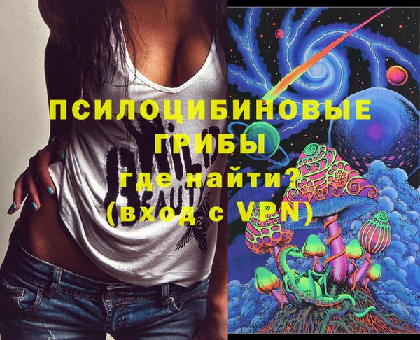 эйфоретик Алзамай