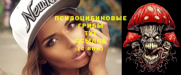 эйфоретик Алзамай